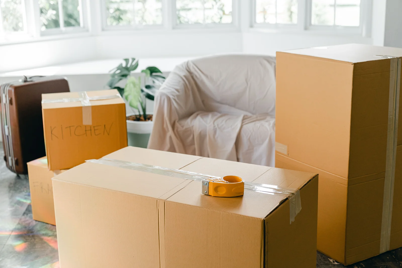 Plante verte et cartons dans un intérieur lumineux — photo illustrative